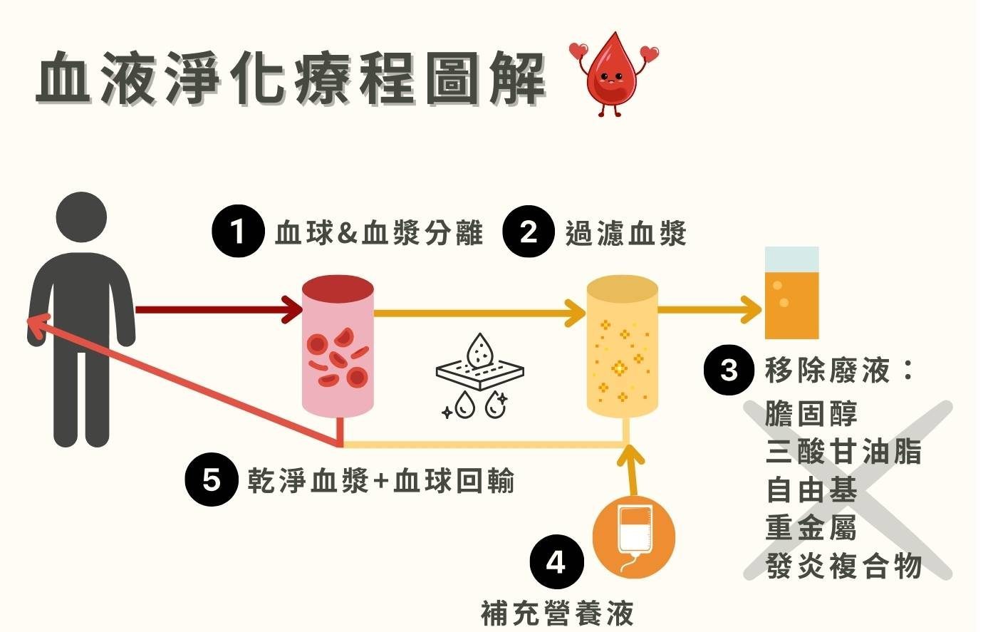 血液淨化療程，過濾血漿中的有害物質，清除膽固醇、自由基、重金屬，改善血液循環。